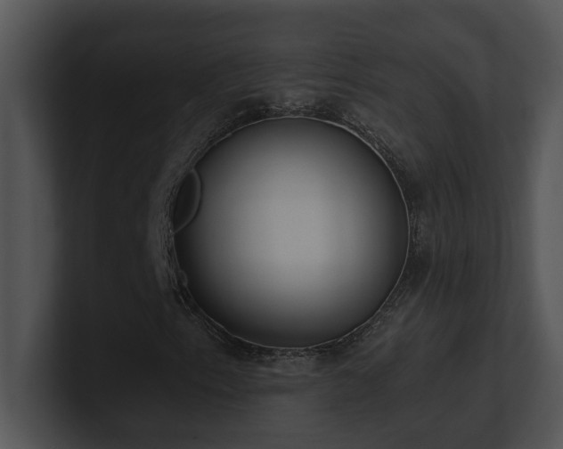 X0000100911153200806241307