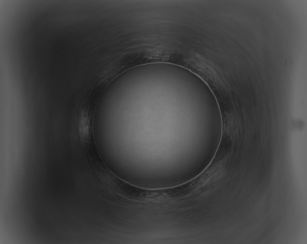 X0000100911154200806241307