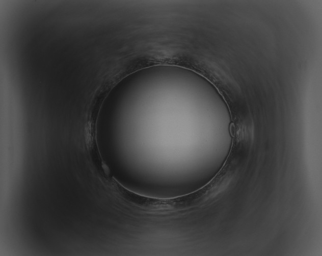 X0000100911156200806241307