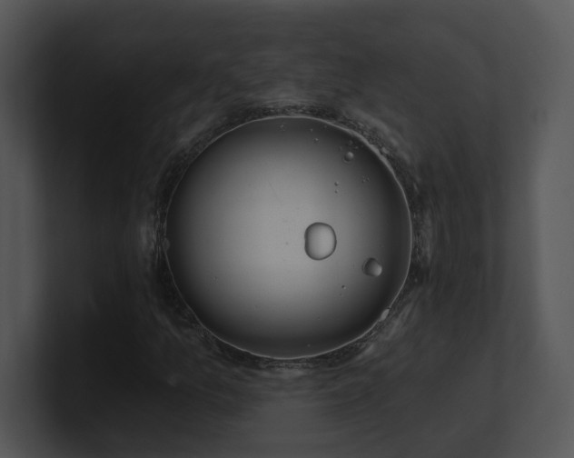 X0000100911157200806241307