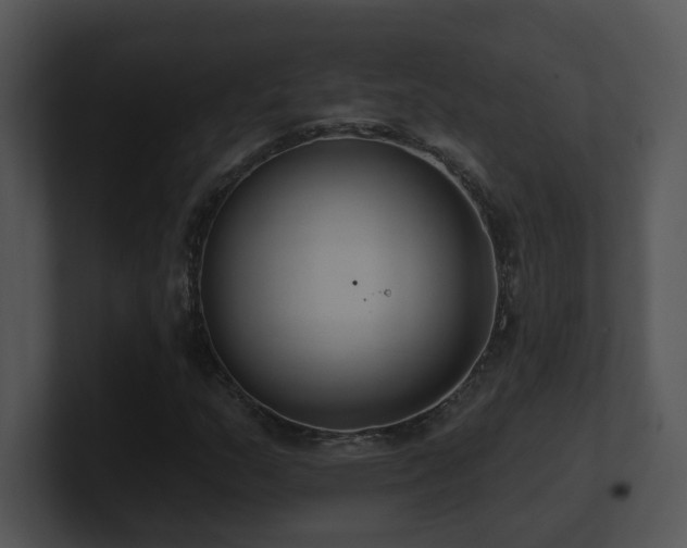 X0000100911159200806241307