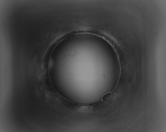 X0000100911160200806241307