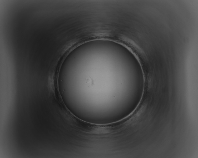 X0000100911162200806241307