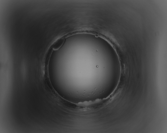 X0000100911165200806241307