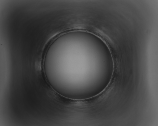 X0000100911166200806241307