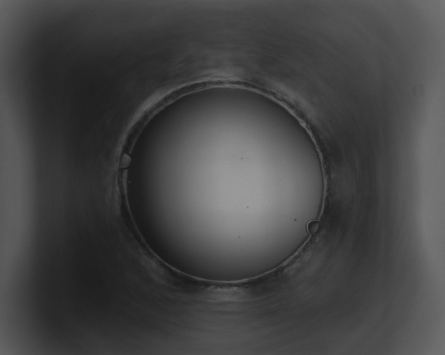 X0000100911168200806241307
