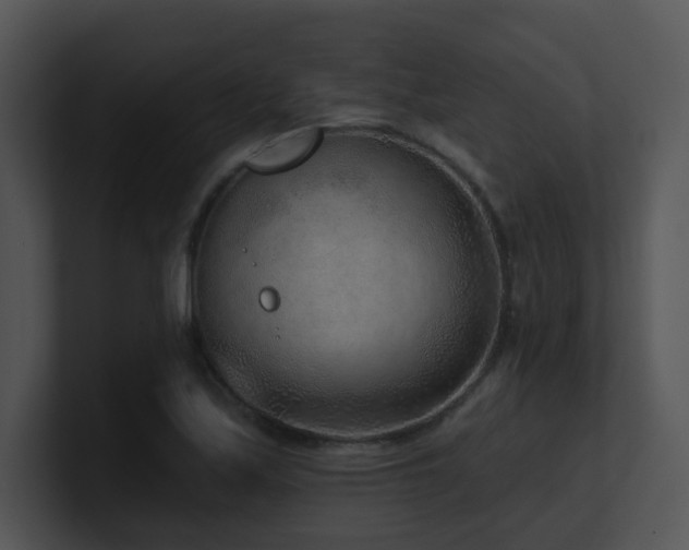 X0000100911171200806241307