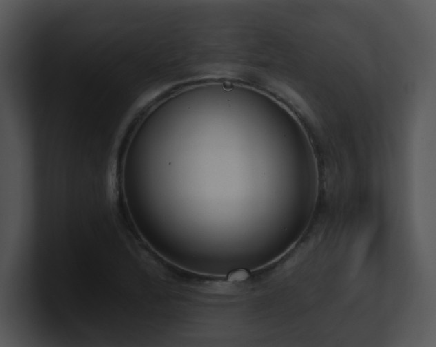 X0000100911172200806241307