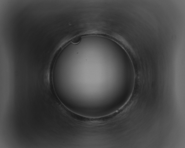 X0000100911173200806241307