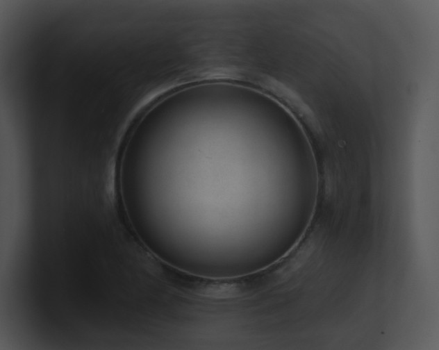 X0000100911174200806241307