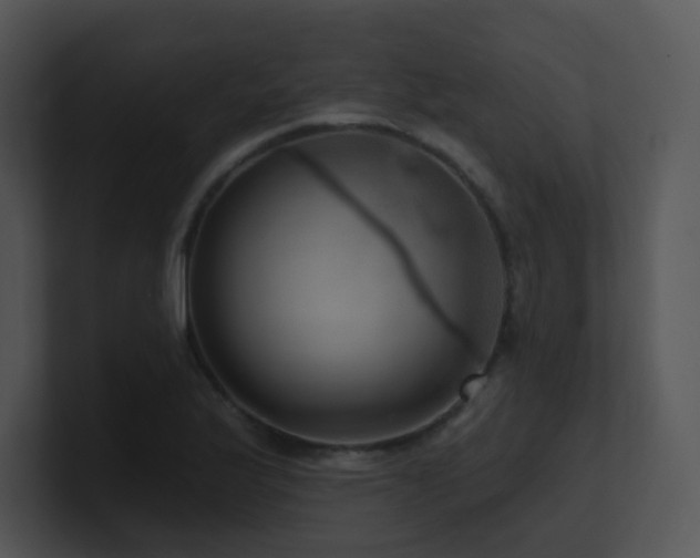 X0000100911175200806241307