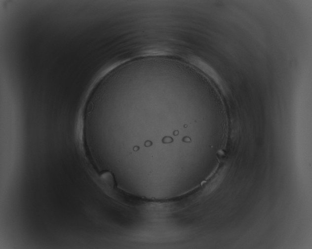 X0000100911179200806241307
