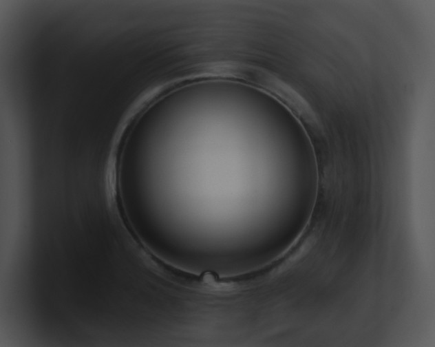 X0000100911180200806241307