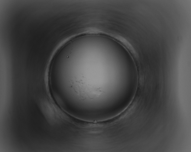 X0000100911183200806241307