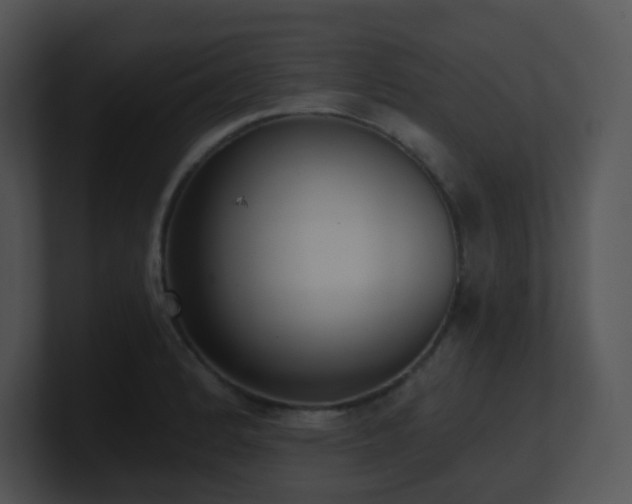 X0000100911184200806241307