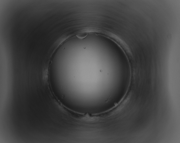 X0000100911185200806241307