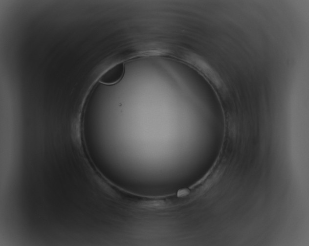 X0000100911186200806241307