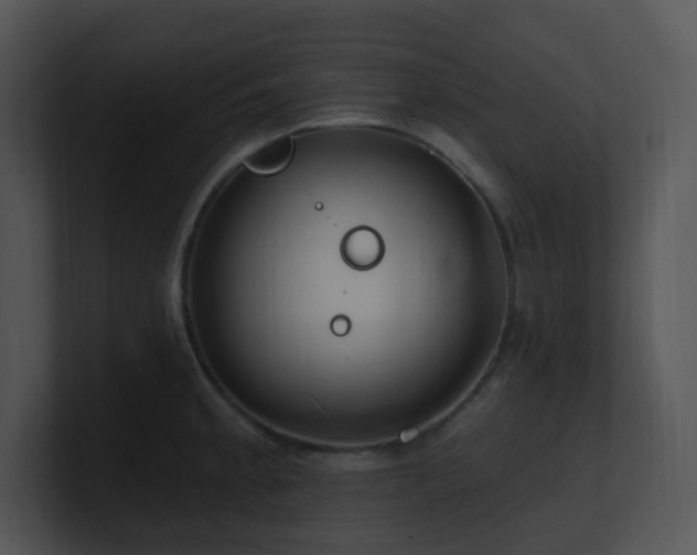 X0000100911189200806241306