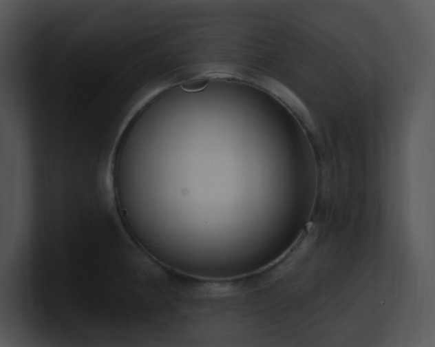 X0000100911190200806241306