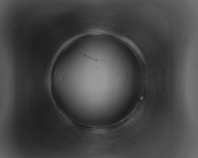 X0000100911191200806241306