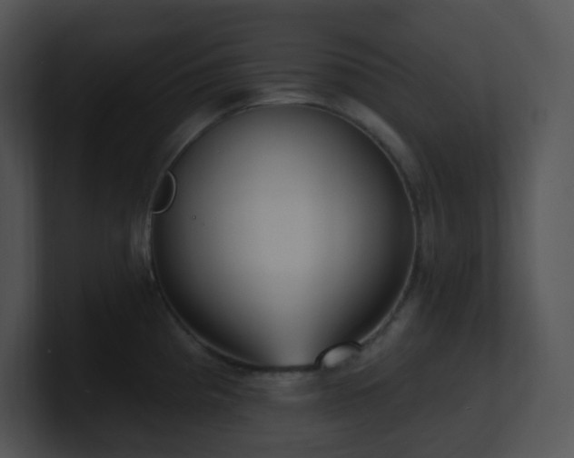 X0000100911193200806241306