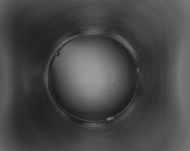 X0000100911195200806241306