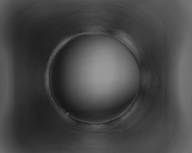 X0000100911196200806241306