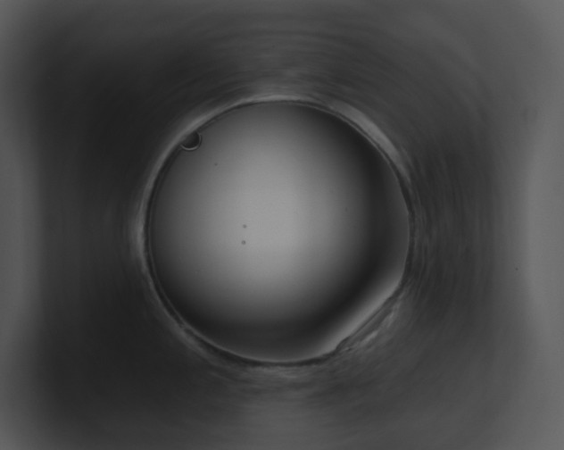 X0000100911197200806241306