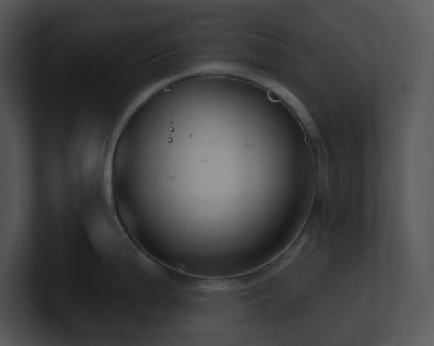 X0000100911199200806241306