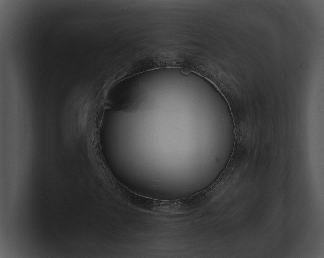 X0000100911201200806241306