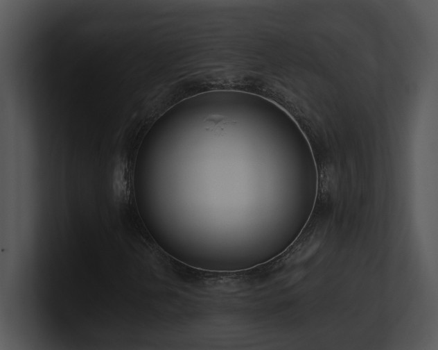 X0000100911202200806241306