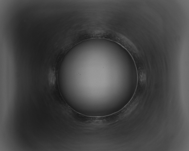 X0000100911204200806241306
