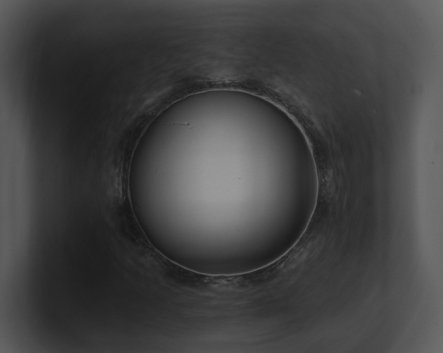 X0000100911205200806241306