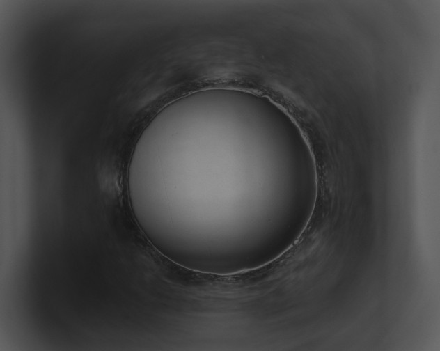 X0000100911206200806241306