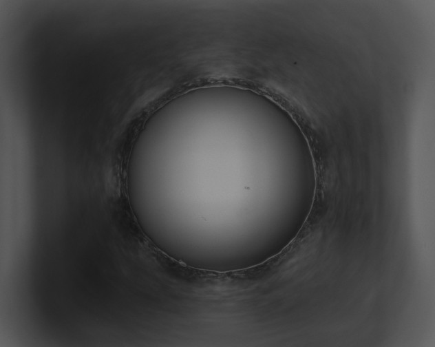 X0000100911207200806241306