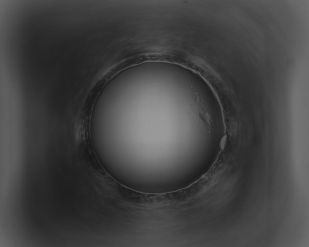 X0000100911208200806241306