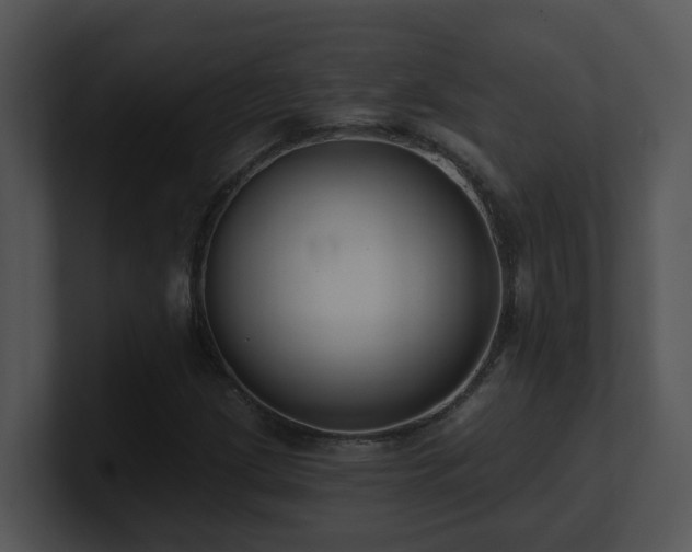 X0000100911209200806241306