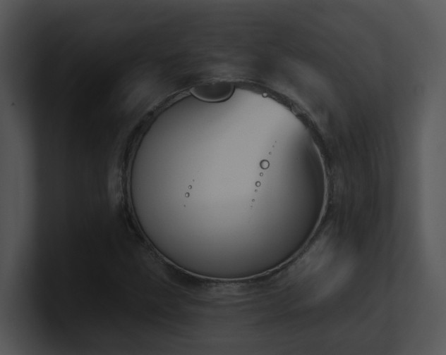 X0000100911211200806241306