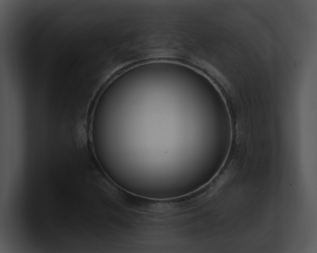 X0000100911212200806241306