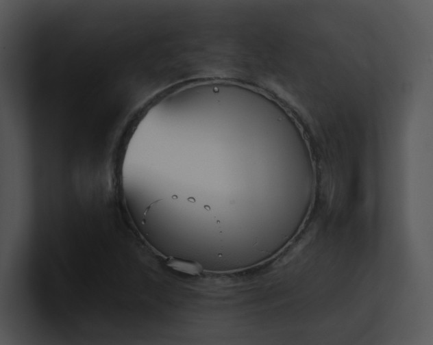 X0000100911215200806241306