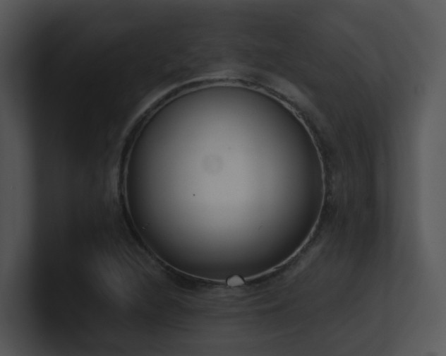 X0000100911216200806241306