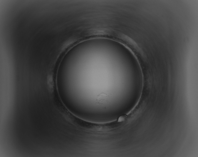 X0000100911218200806241306