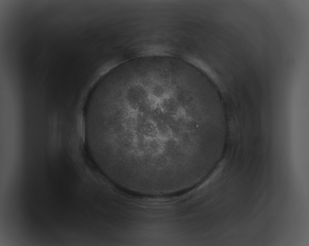 X0000100911219200806241306