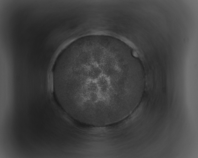 X0000100911223200806241306