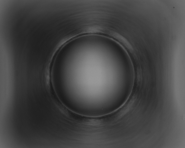 X0000100911226200806241306