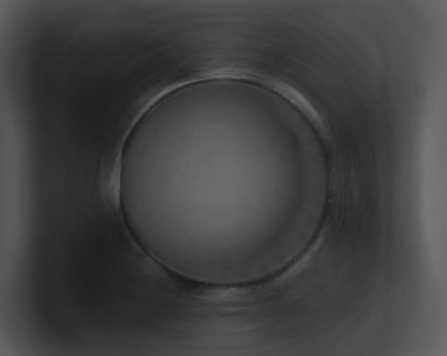 X0000100911228200806241306