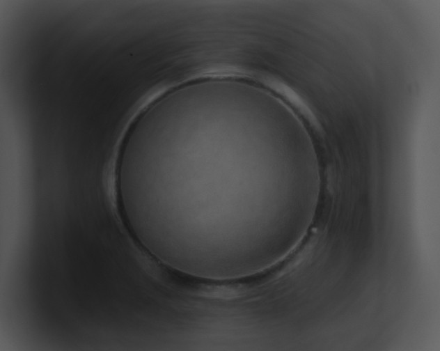 X0000100911229200806241306