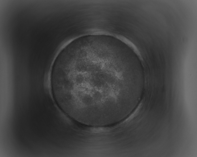 X0000100911231200806241306