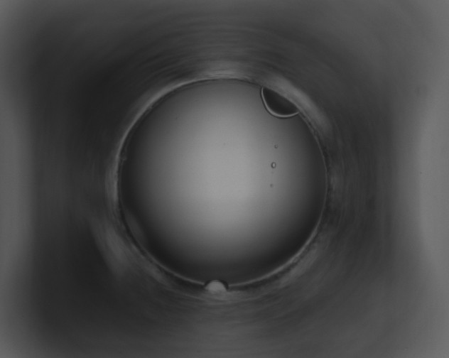 X0000100911236200806241306