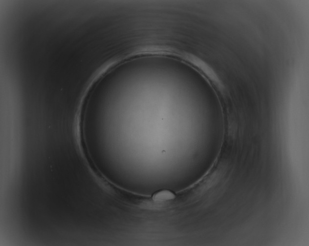 X0000100911237200806241306